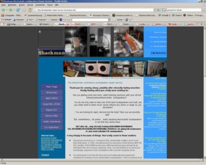 reromanus electrostatic loudspeakers repair services